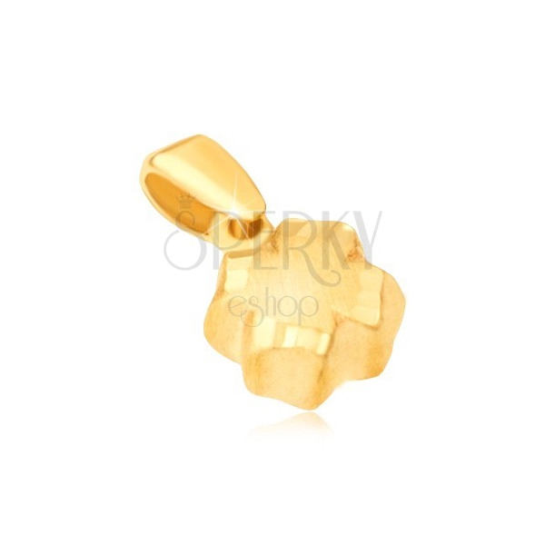 Pandantiv din aur galben 14K - trifoi 3D satinat, margine gravată