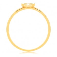 Inel din aur galben de 9K - inimă cu margini albe și zirconiu transparent