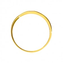 Inel din aur 585 - dreptunghi neted lucios, brațe cu finisaj satinat, 2,5 mm