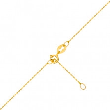 Colier de aur galben 585 - contur de cerc cu zirconii încrustate și decupat în centru