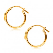 Cercei din aur 14K, cercuri cu ursuleț de pluș și zircon, încuietoare franceză, 12 mm