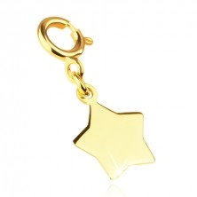 Pandantiv pentru brățară, din aur 375 – o stea plată, un inel cu arc