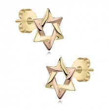 Cercei din aur combinat de 14K - Steaua lui David bicoloră, știfturi